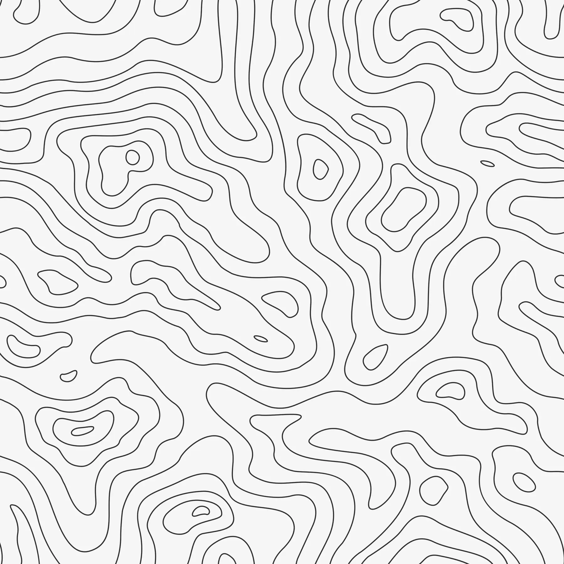 Papier peint Carte topographique u70650