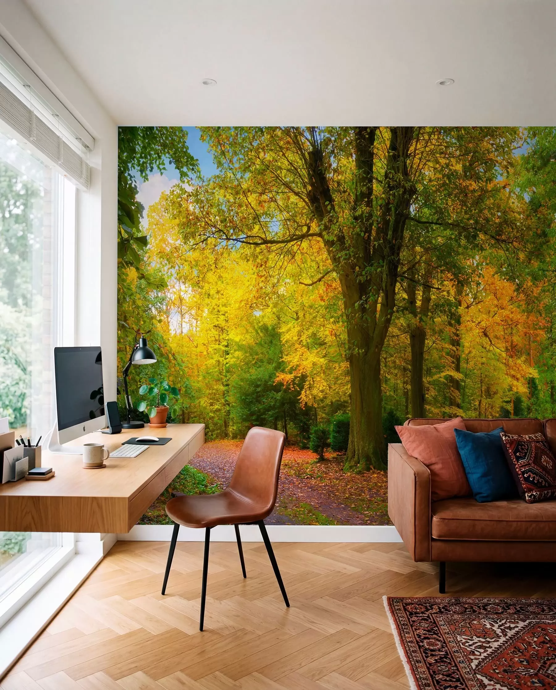 Papier peint Premiers ors d’automne u08547