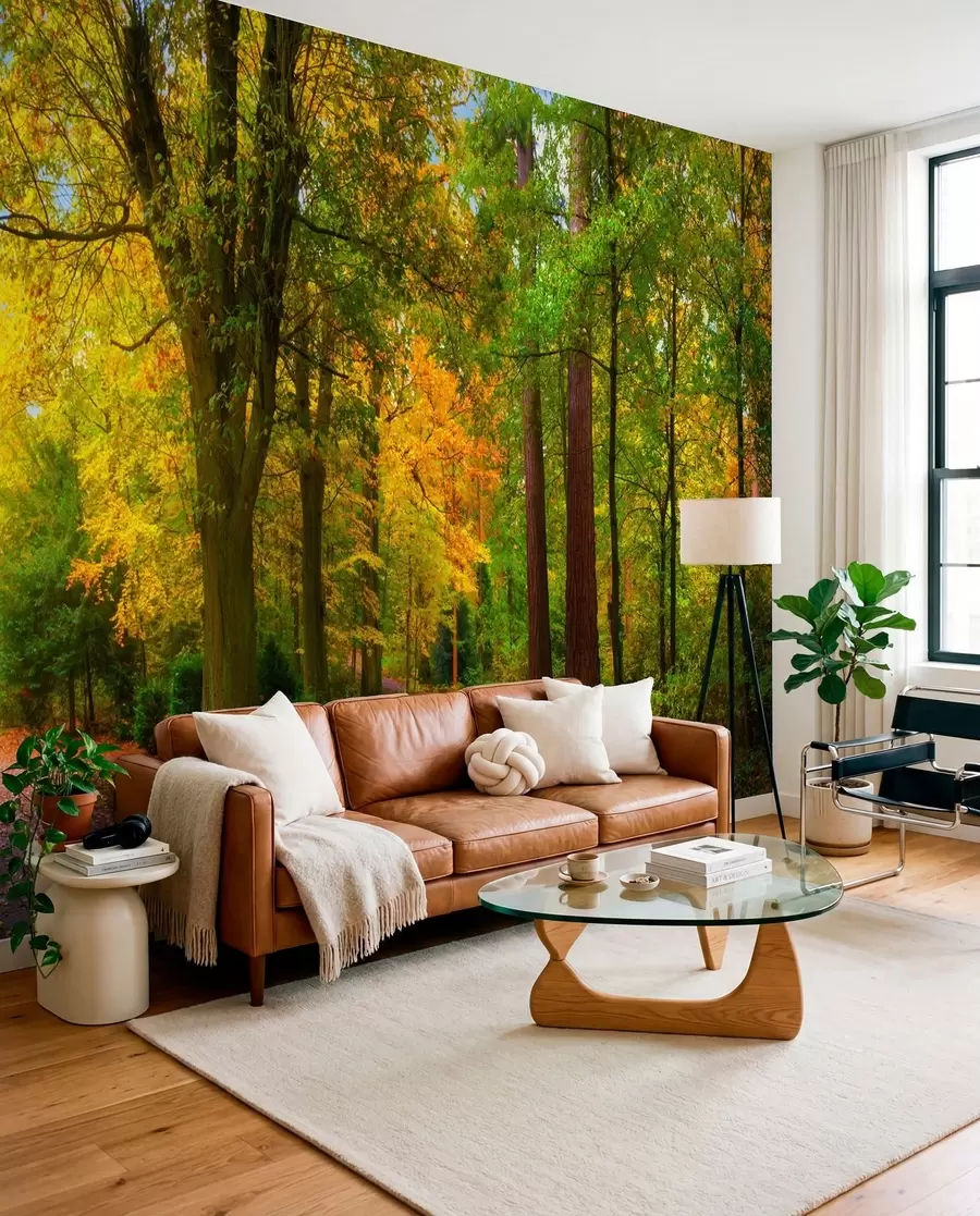 Papier peint Automne u08547