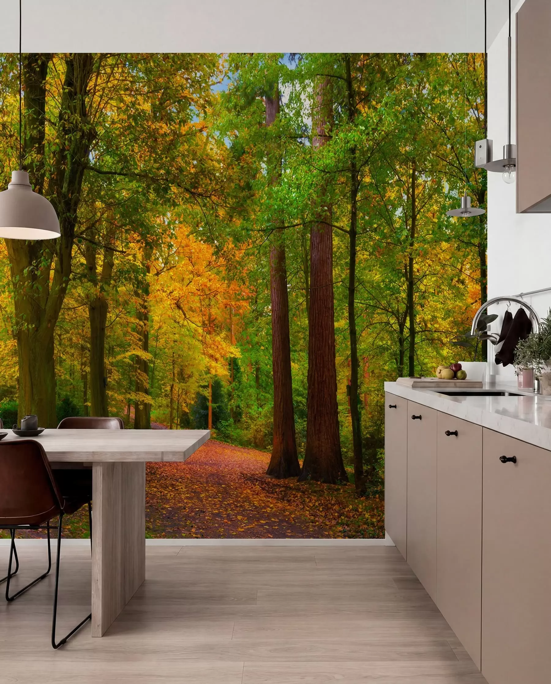 Papier peint Automne u08547