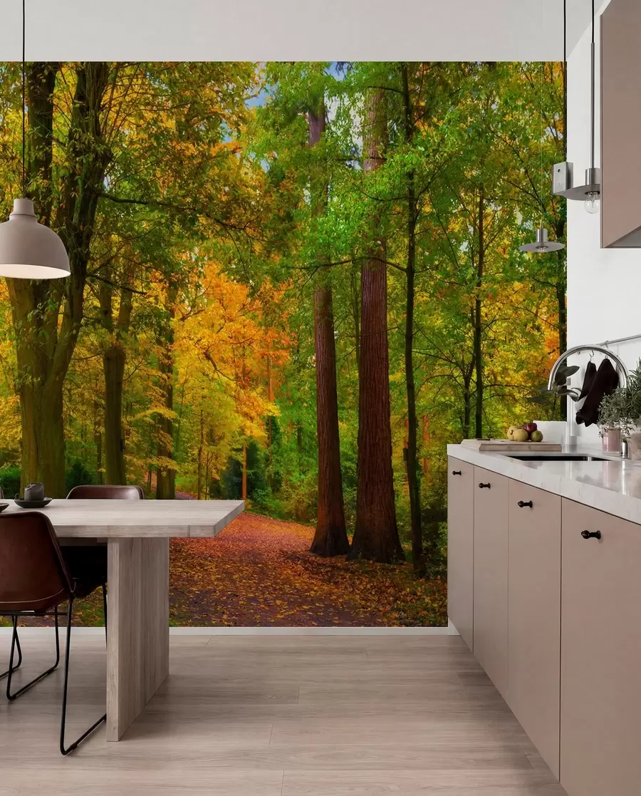 Papier peint Automne u08547