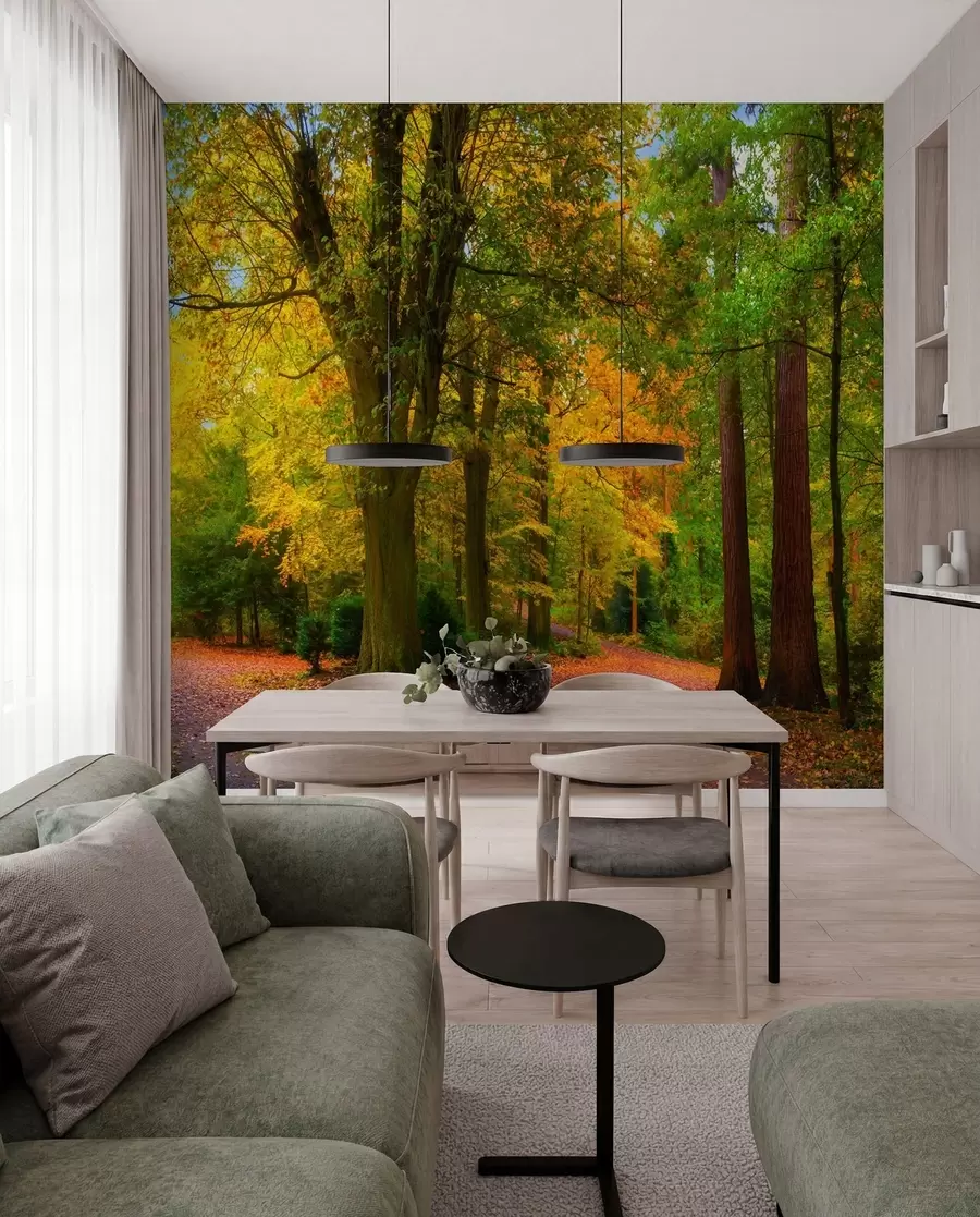 Papier peint Automne u08547
