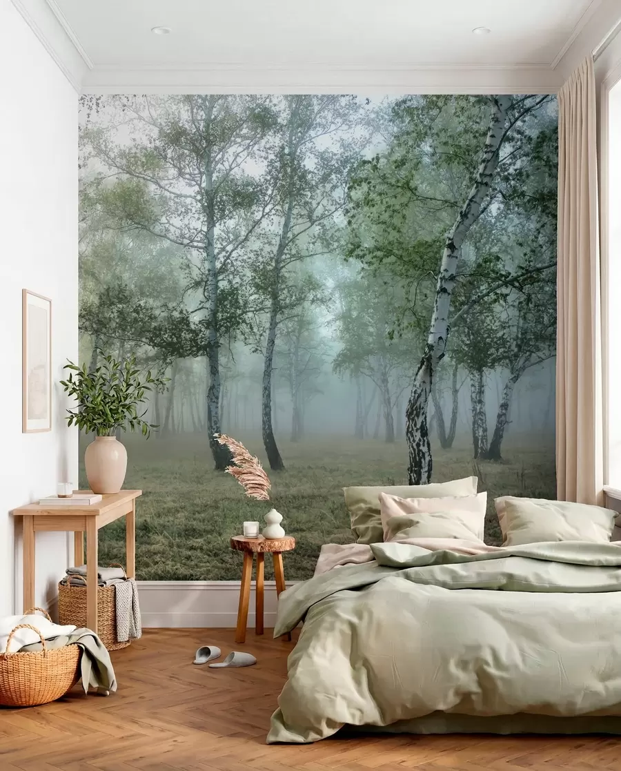 Papier peint Brume de bouleaux u25820