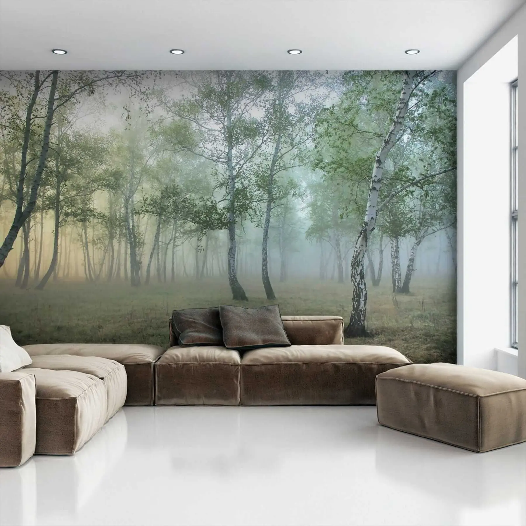 Papier peint Brouillard Forêt de Bouleaux u25820