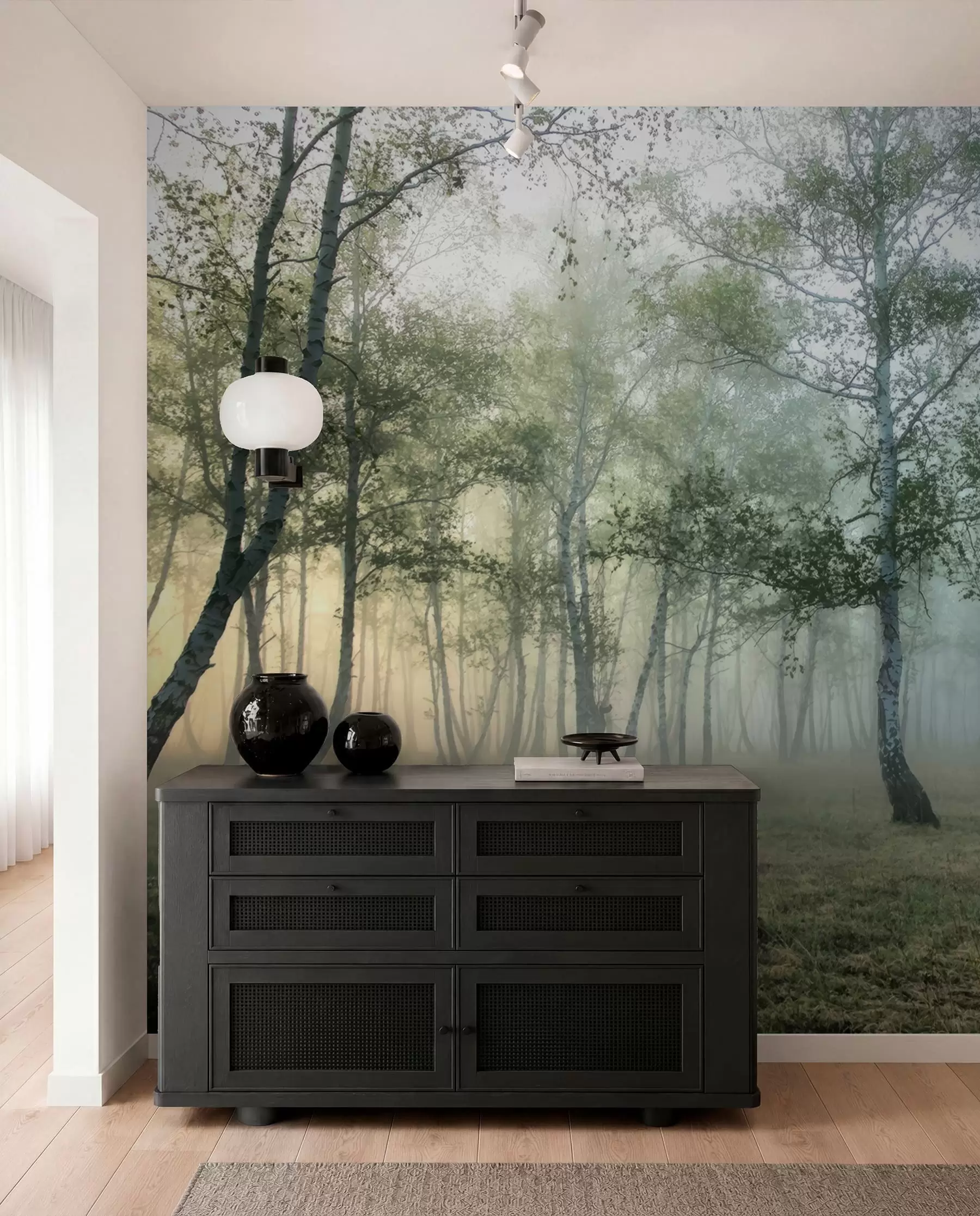 Papier peint Brouillard Forêt de Bouleaux u25820