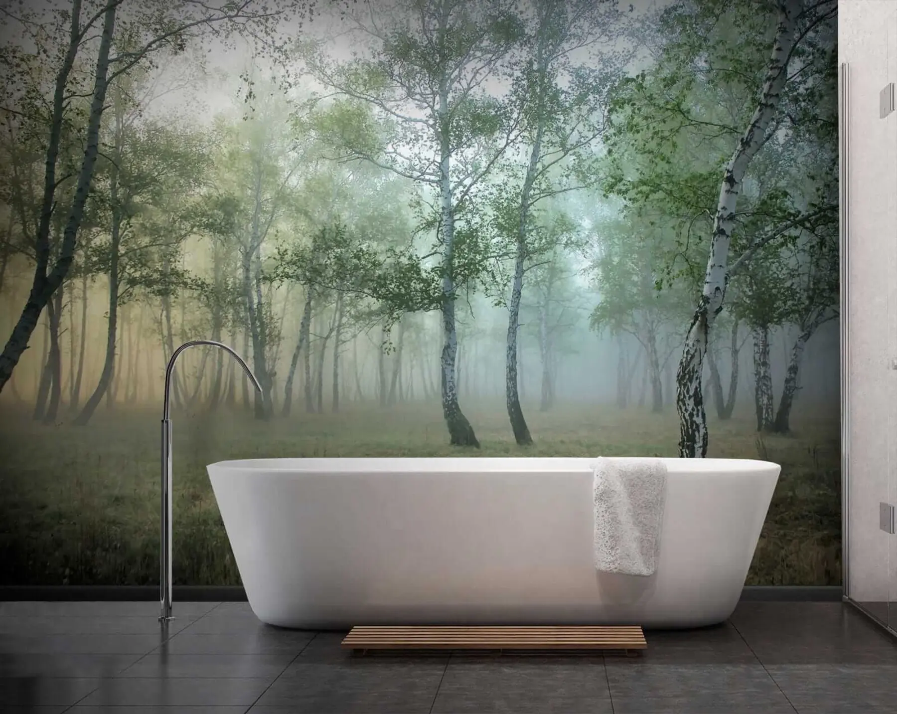 Papier peint Brouillard Forêt de Bouleaux u25820