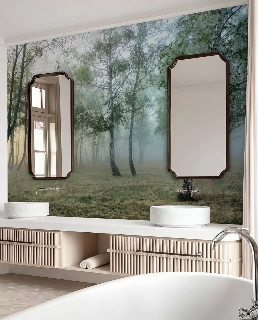 Papier peint Brouillard Forêt de Bouleaux u25820