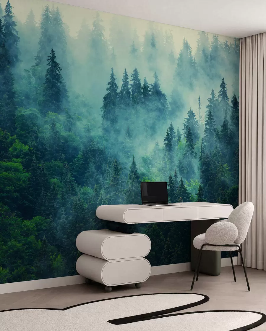 Papier peint Forêt brumeuse le matin u33150