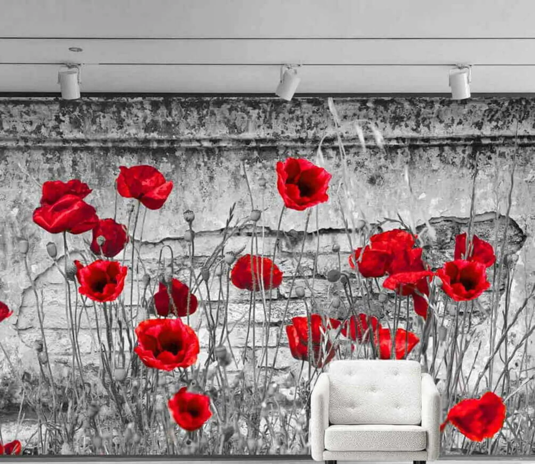 Papier peint Coquelicots lumineux sur le fond du mur u40552