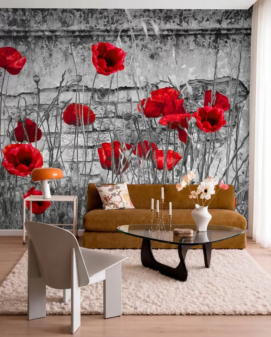 Papier peint Coquelicots lumineux sur le fond du mur u40552