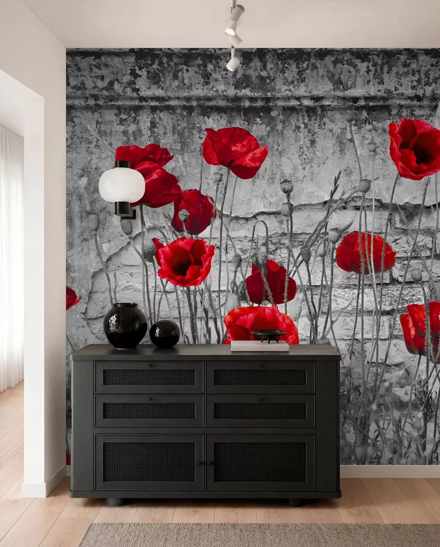 Papier peint Coquelicots lumineux sur le fond du mur u40552