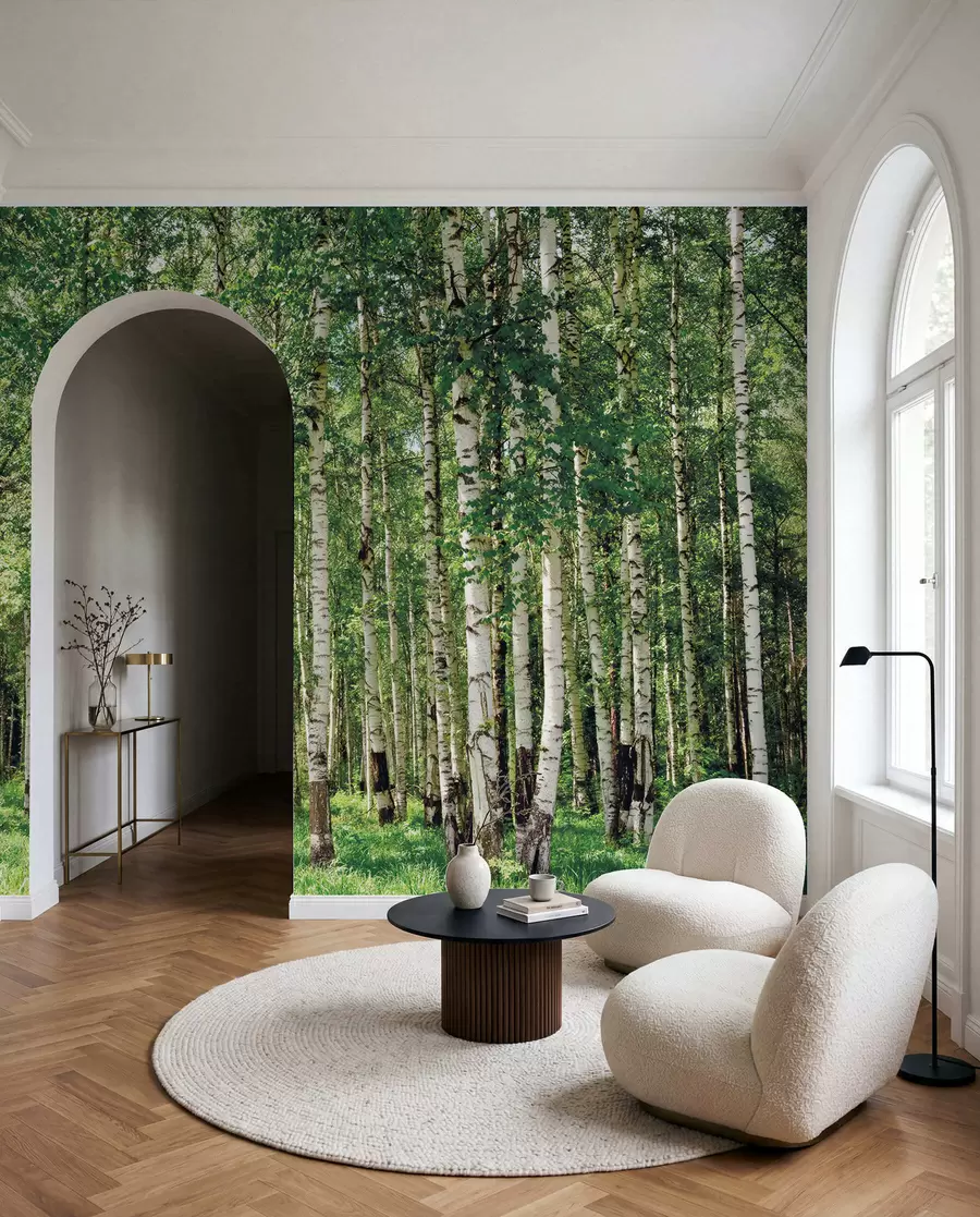 Papier peint Forêt de bouleaux u52530