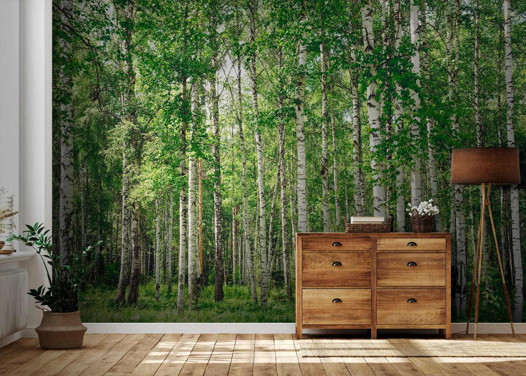 Papier peint Forêt de bouleaux u52530
