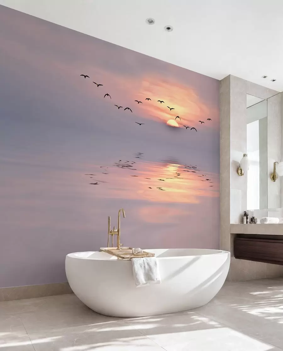 Papier peint Mouettes au coucher du soleil u53413