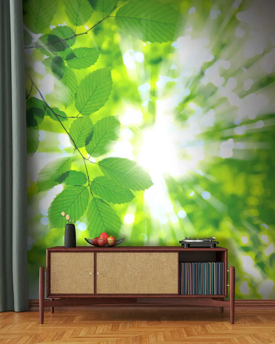 Papier peint Le début du printemps u54862