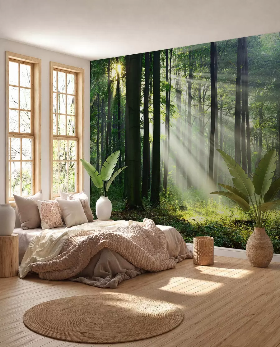 Papier peint Soleil entre les arbres u56787