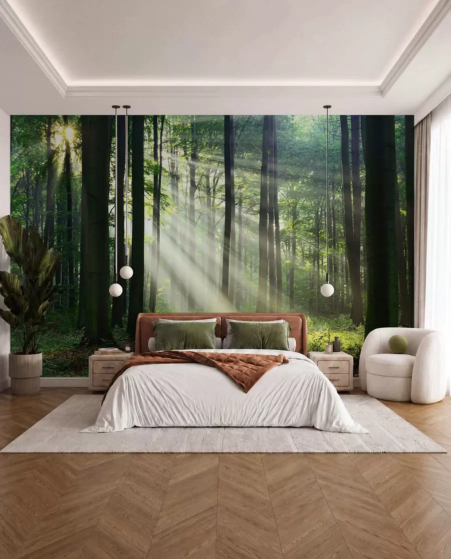 Papier peint Soleil entre les arbres u56787