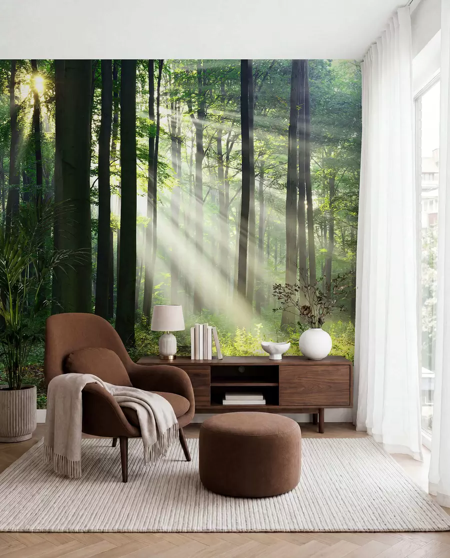 Papier peint Soleil entre les arbres u56787