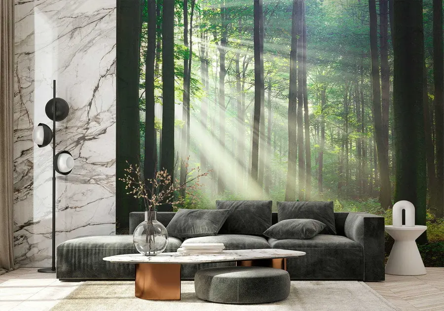 Papier peint Rayons ensoleillés dans la forêt u56787