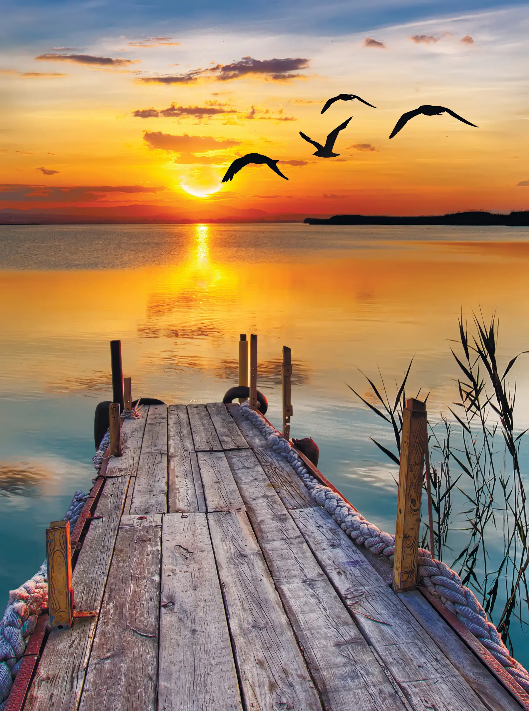 Papier peint Mouettes et jetée u57673