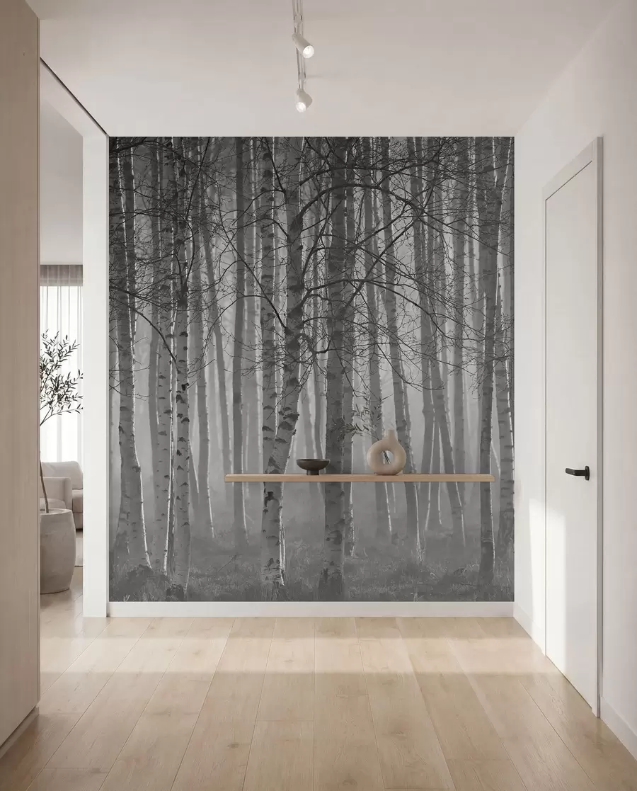 Papier peint Brume matinale dans la forêt de bouleaux u58971