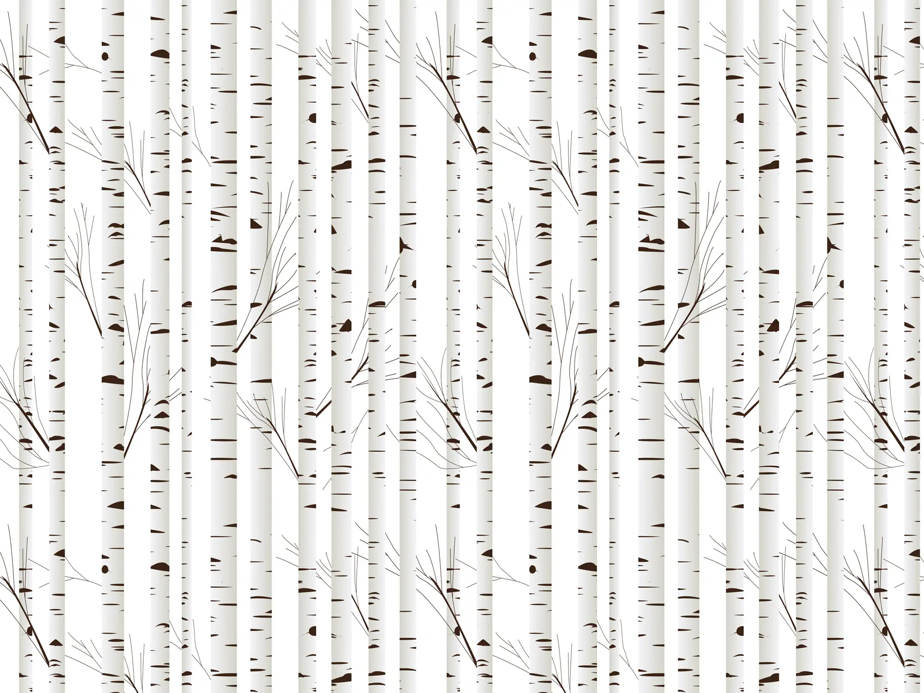 Papier peint Forêt de bouleaux u58973