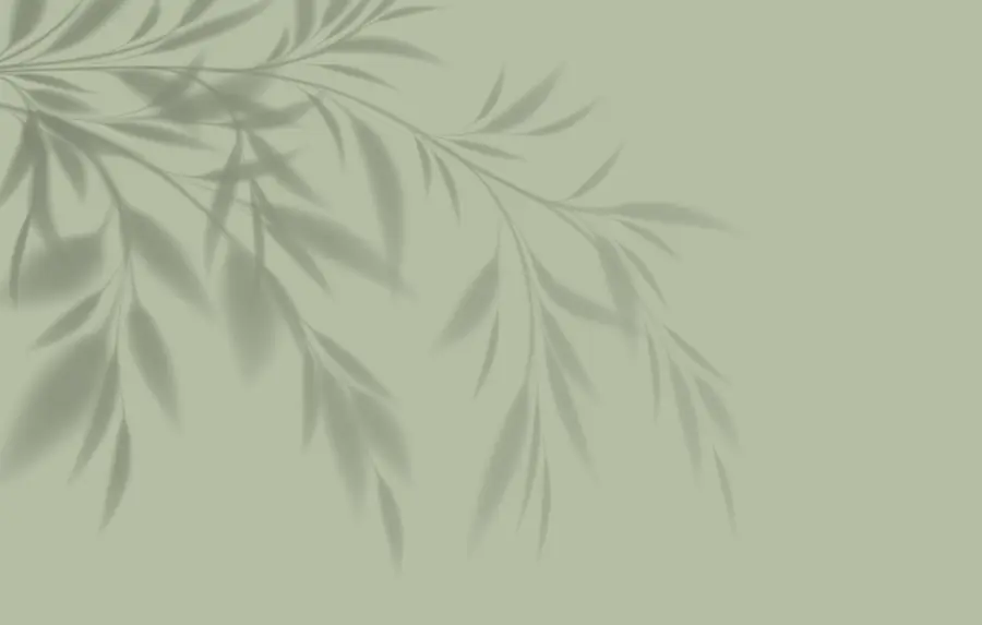 Papier peint feuilles, ombre, couleur olive w00404