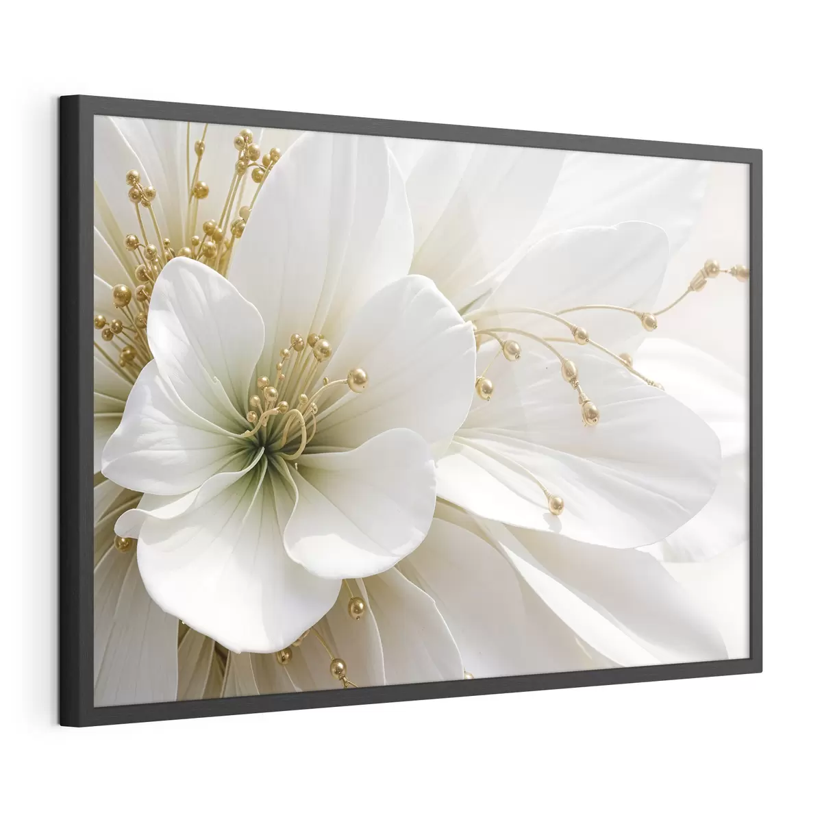 Poster Révélation blanche f39507