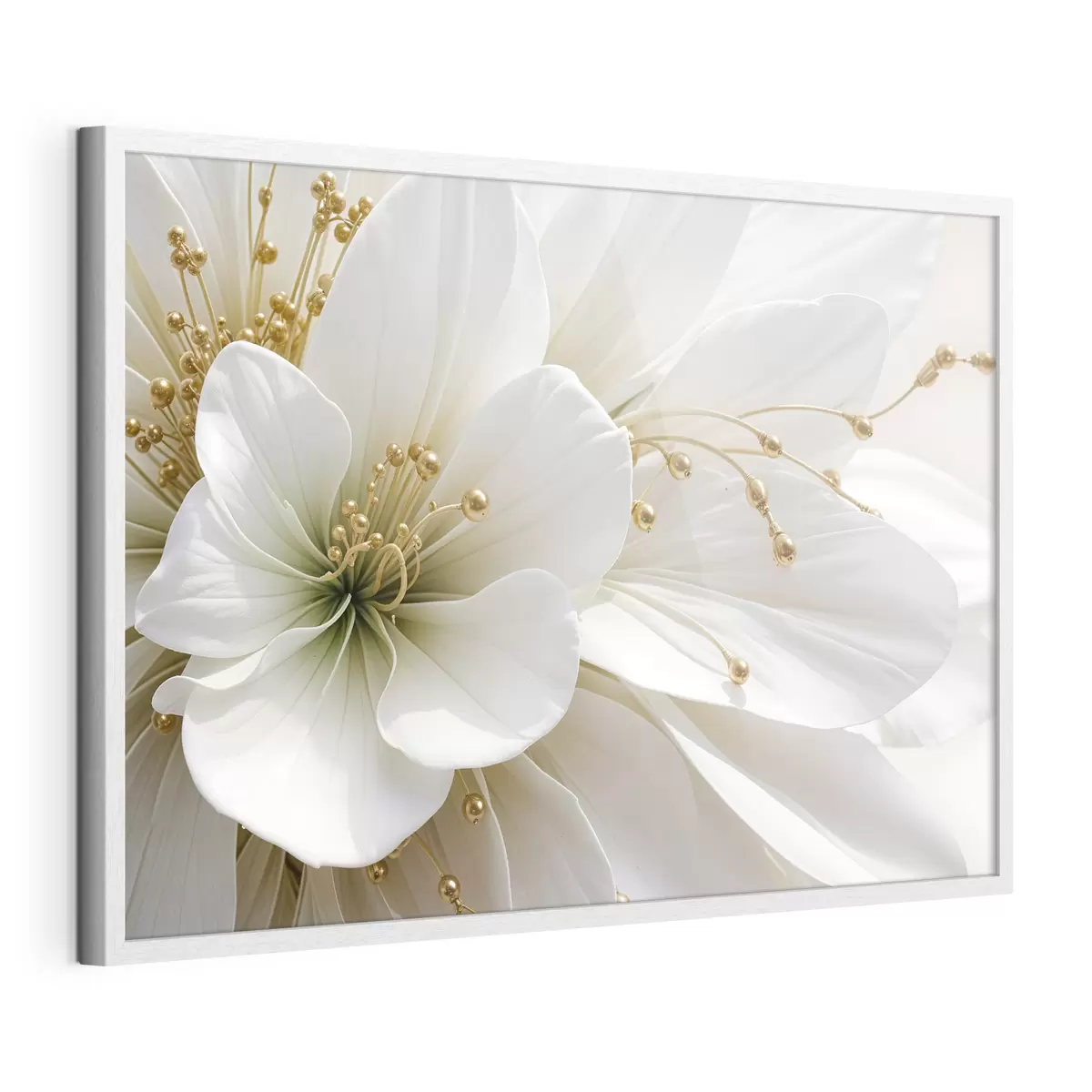 Poster Révélation blanche f39507