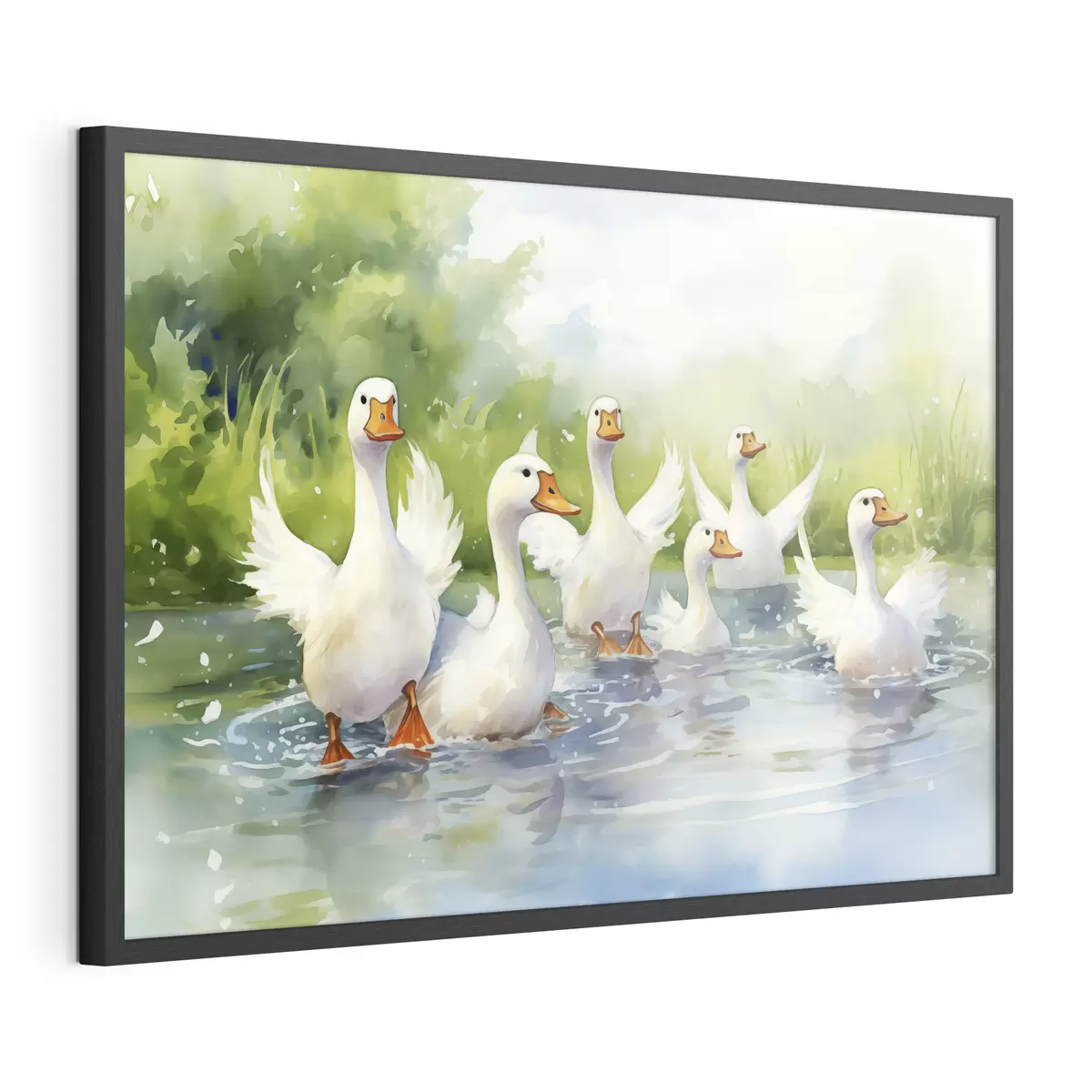 Poster Oies blanches se baignant dans un étang, aquarelle f39939