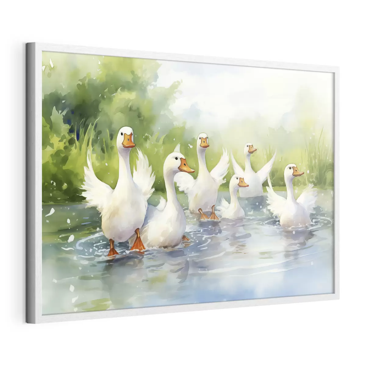 Poster Oies blanches se baignant dans un étang, aquarelle f39939