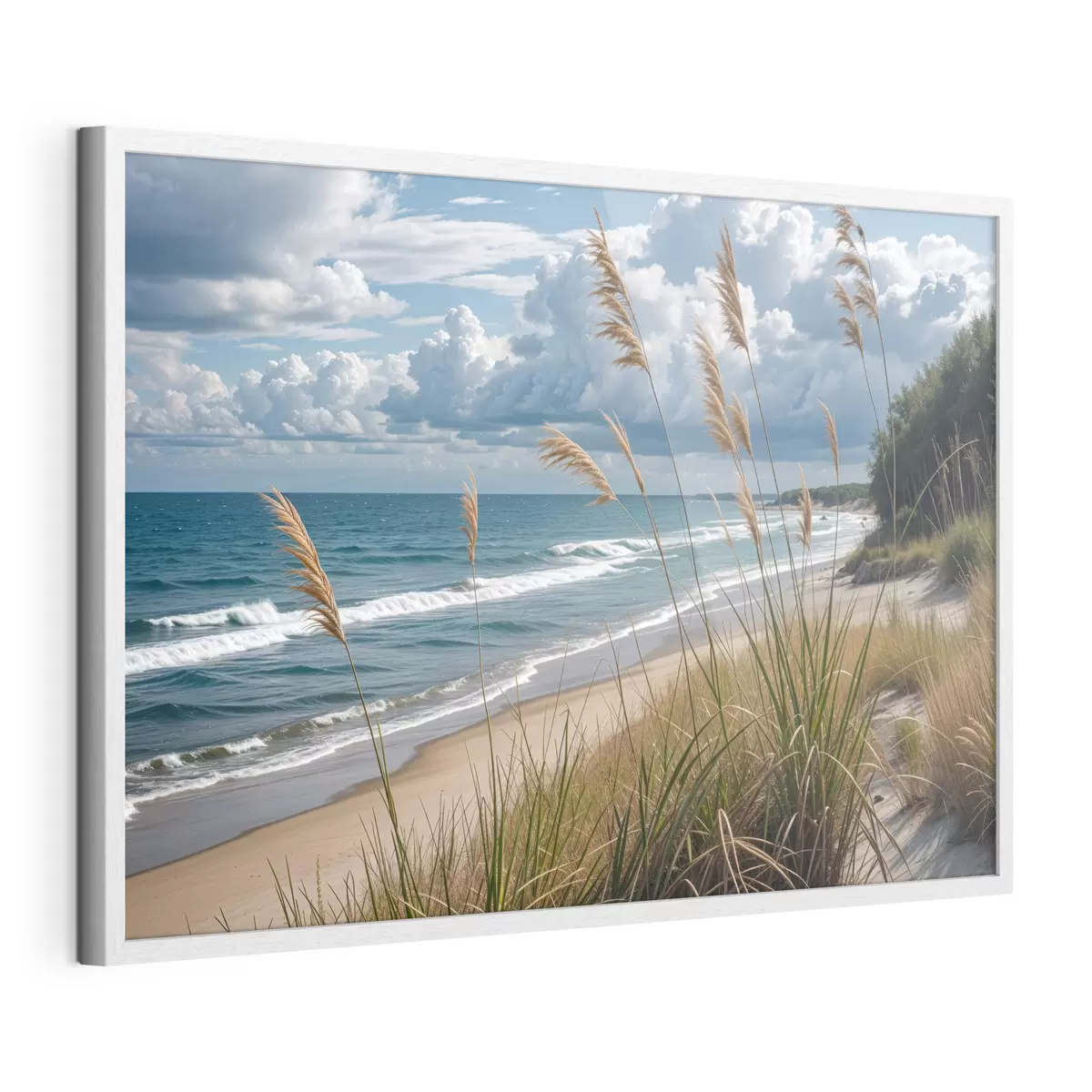Poster Herbes et confiance f40161