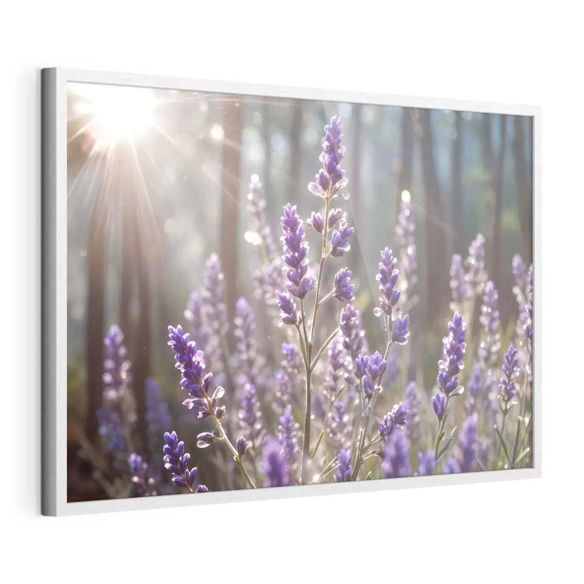 Poster Fleurs et éternité f40570