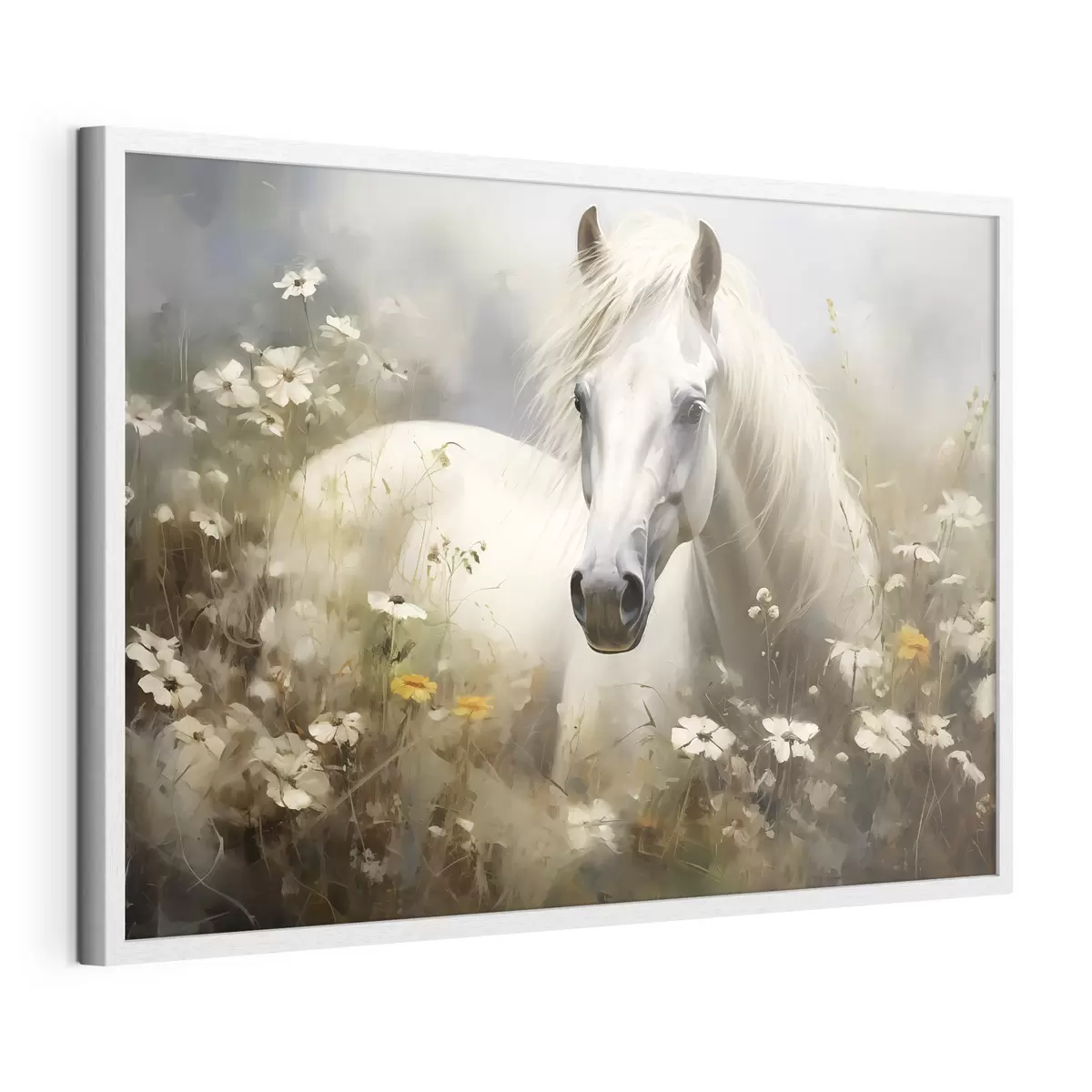 Poster Cheval blanc dans l'herbe parmi les marguerites f40533
