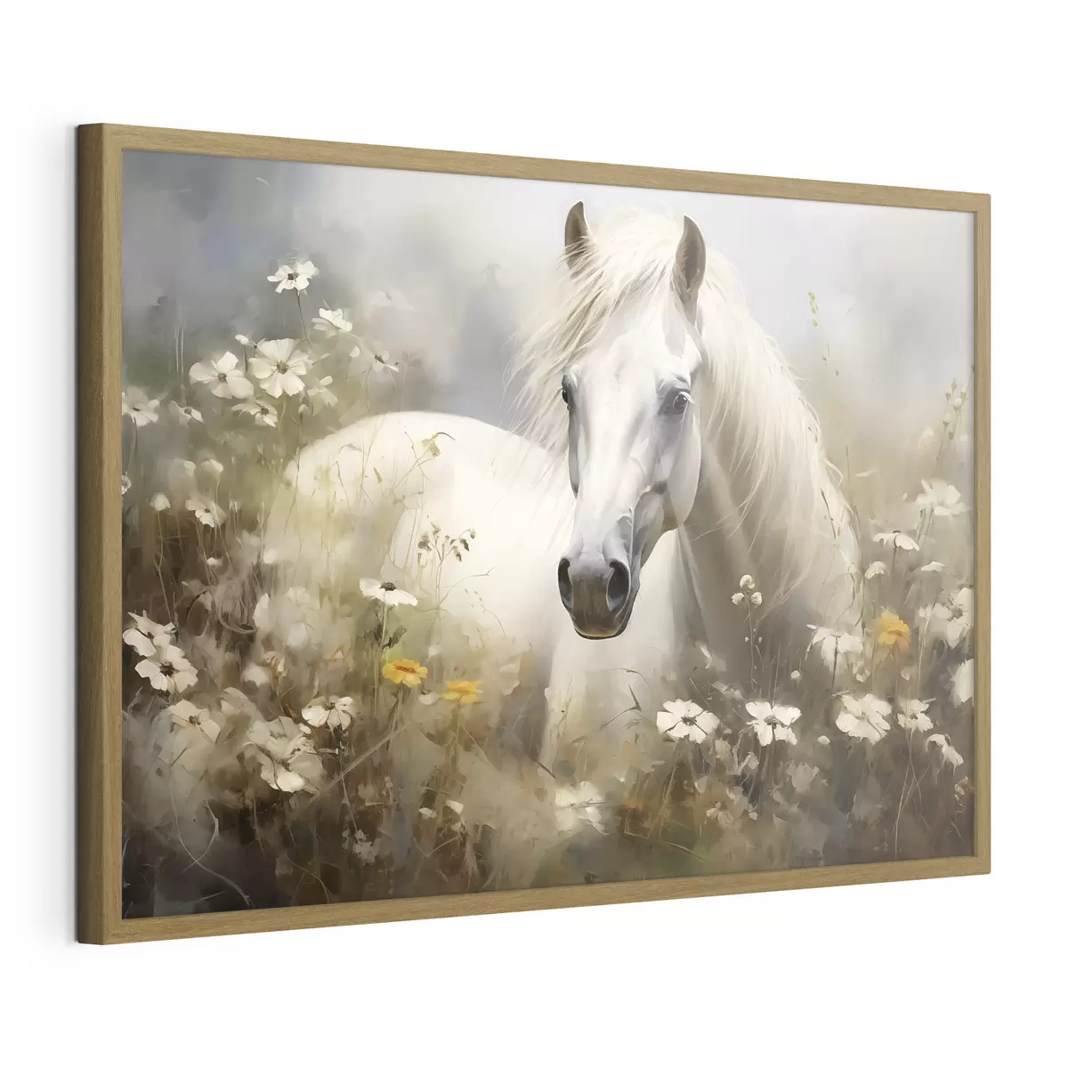 Poster Cheval blanc dans l'herbe parmi les marguerites f40533