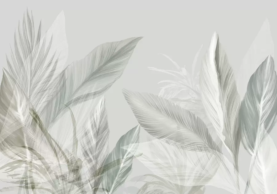 Papier peint Des plumes blanches, vertes et grises douces et des feuilles tropicales flottant sur un fond clair w08241