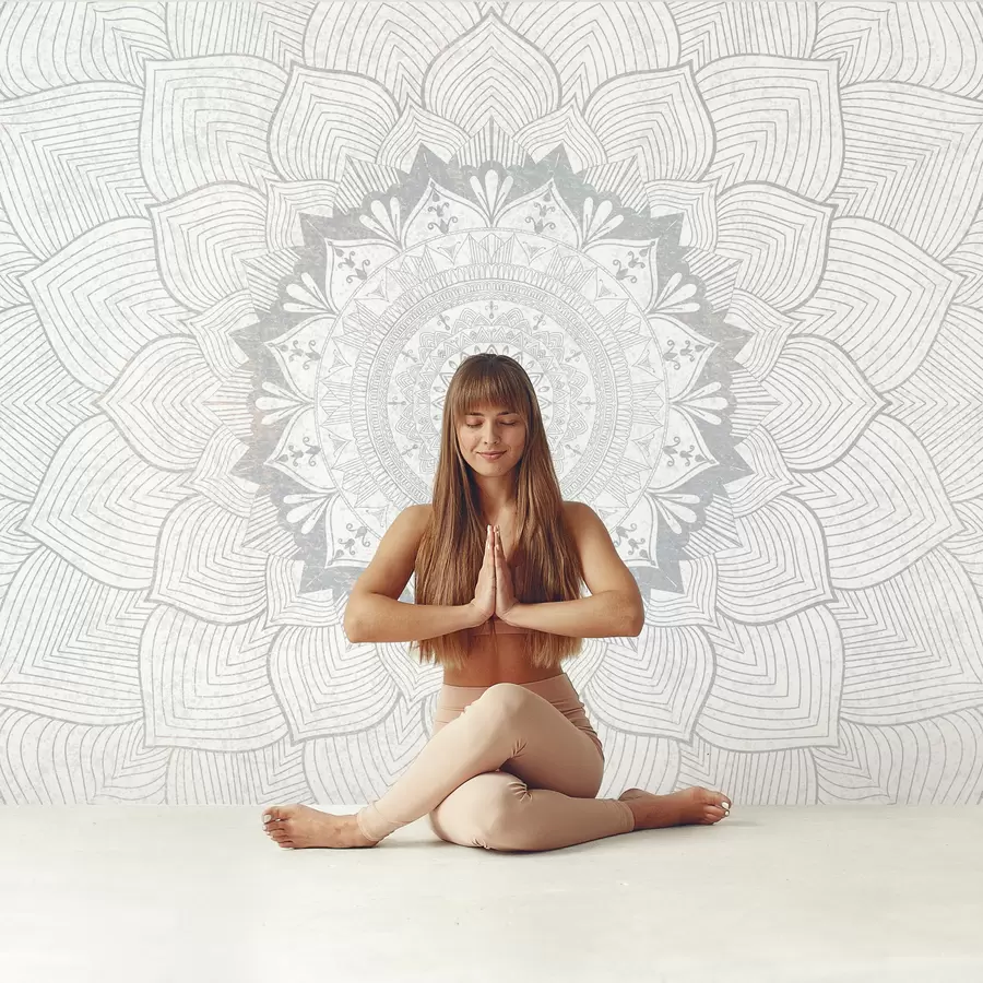 Papier peint Mandala rond, papier peint pour espace yoga ou pour harmoniser l'espace personnel. Mandala mural dans les tons gris sur fond hétérogène texturé w01088v2