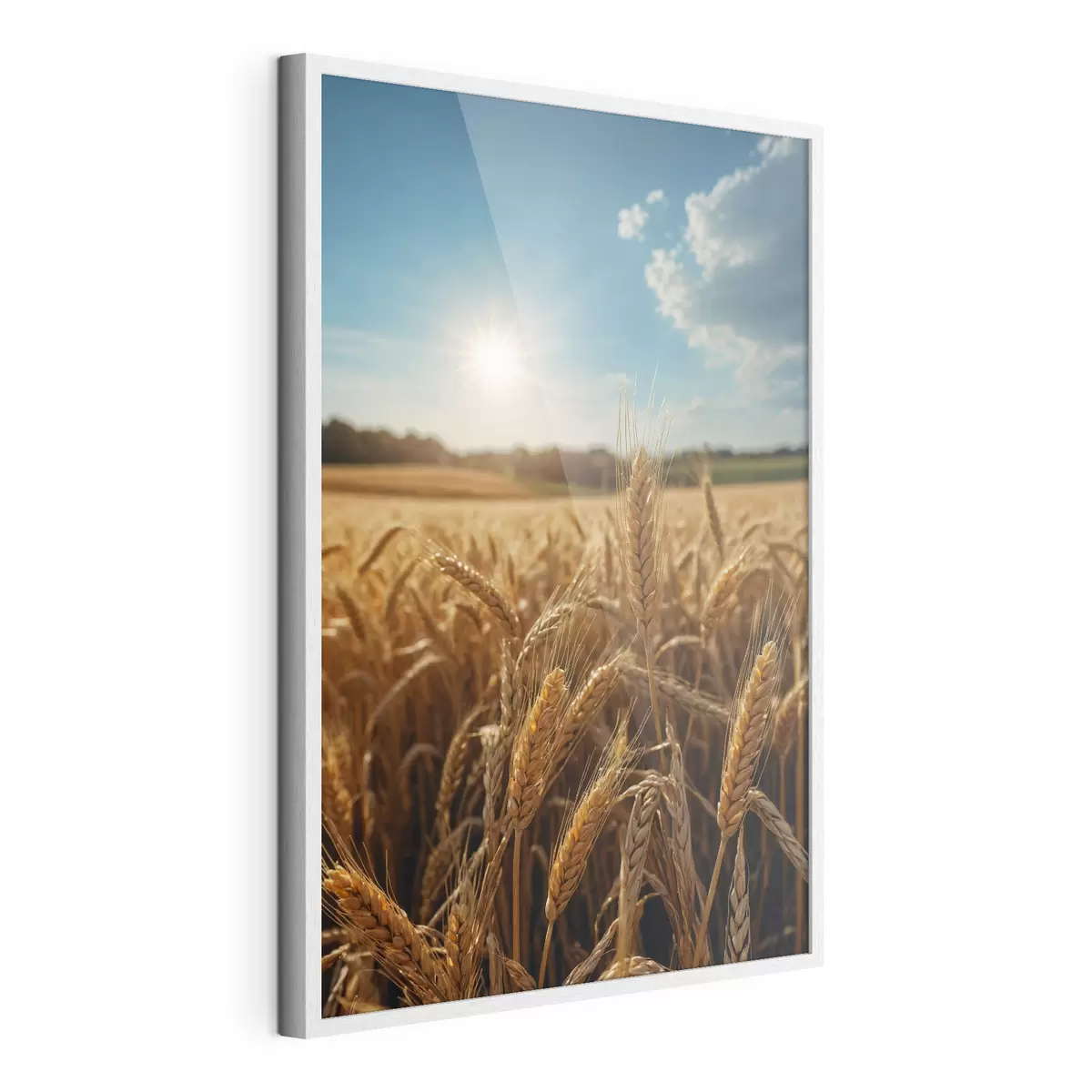 Poster Champ de blé f40877