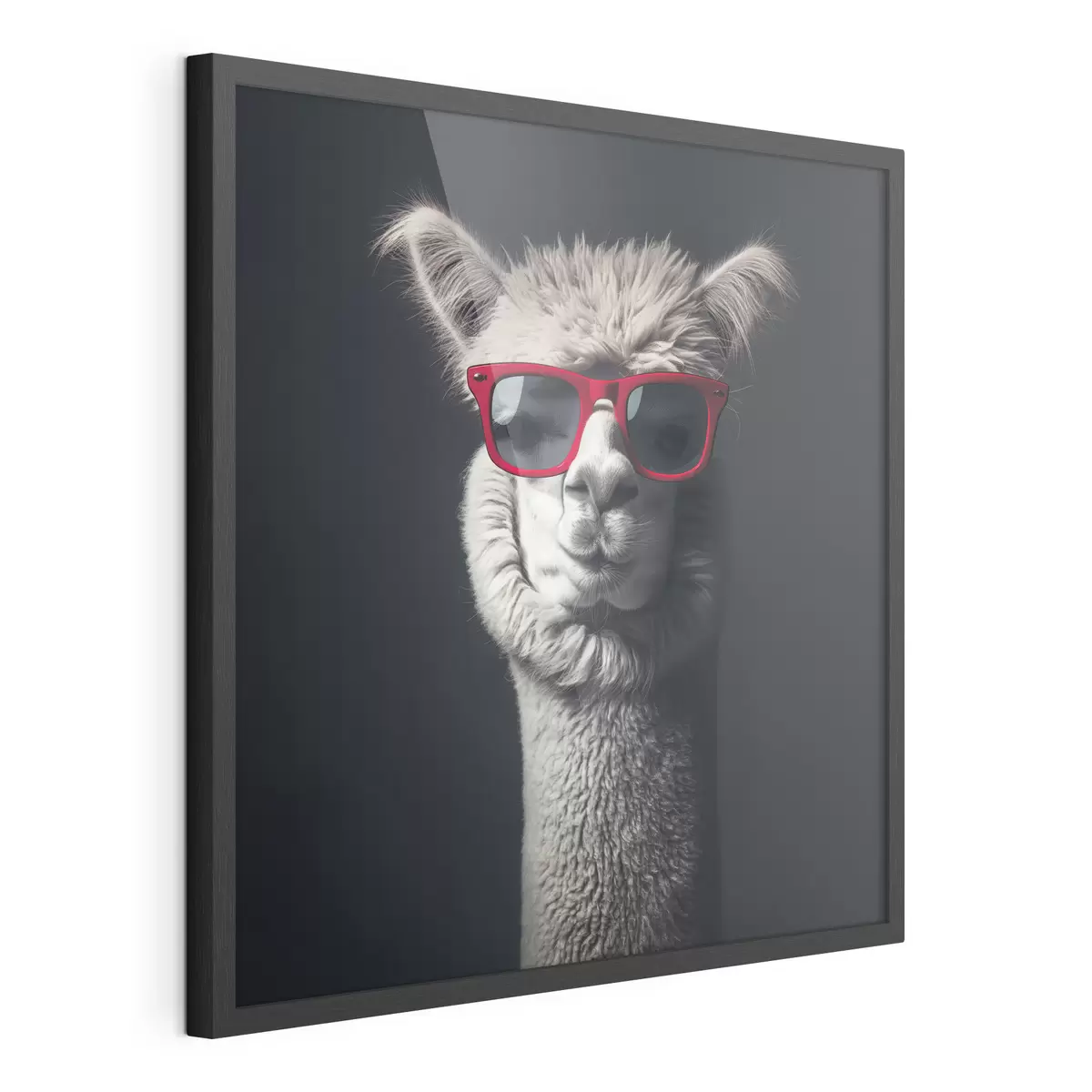 Poster Lama de caractère f40996