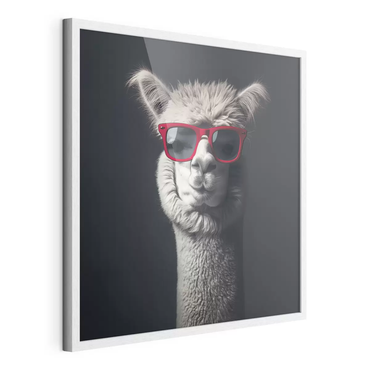 Poster Lama de caractère f40996