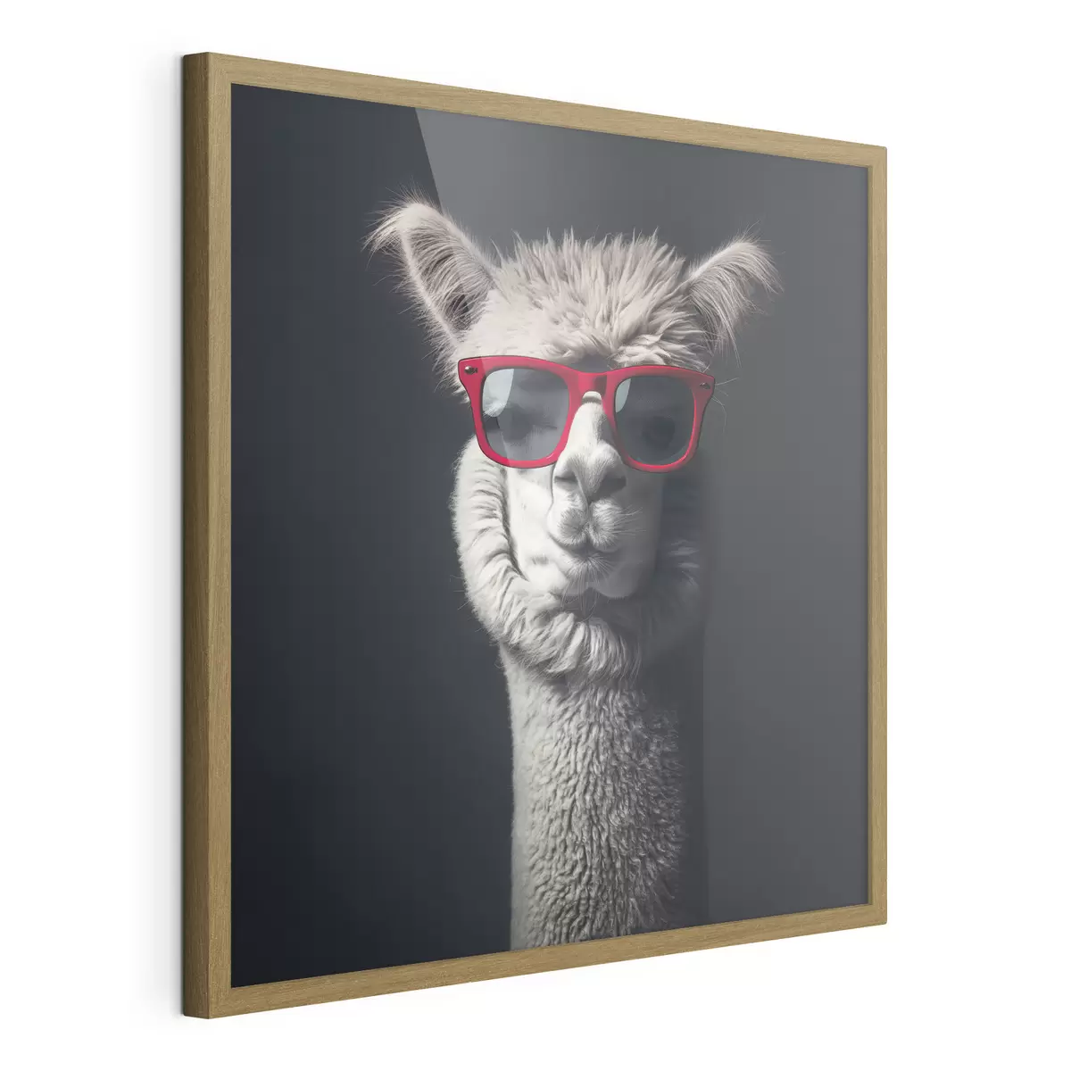 Poster Lama de caractère f40996