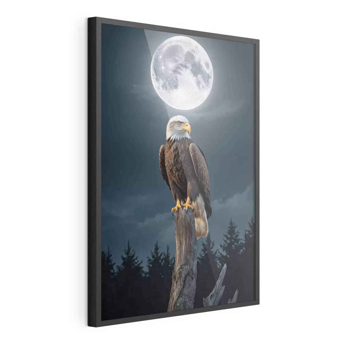 Poster Aigle sur fond de lune f41043