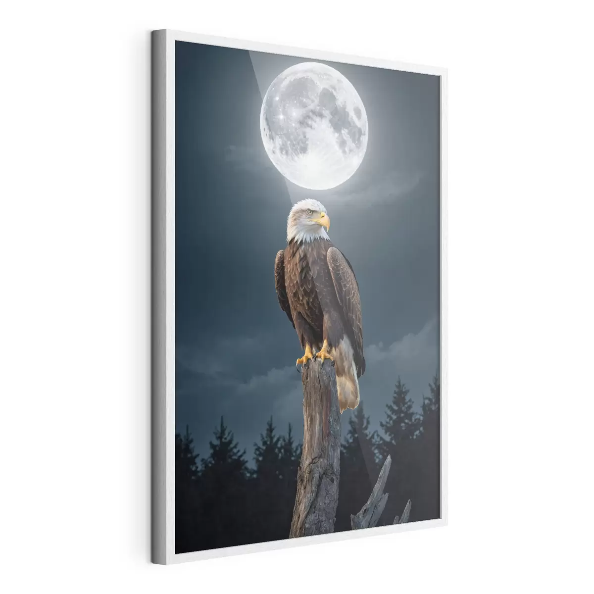 Poster Aigle sur fond de lune f41043