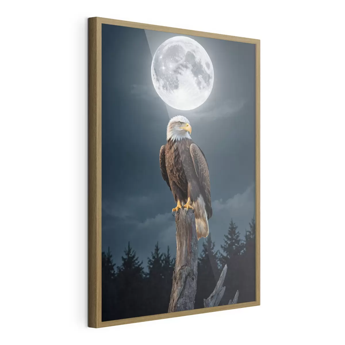 Poster Aigle sur fond de lune f41043