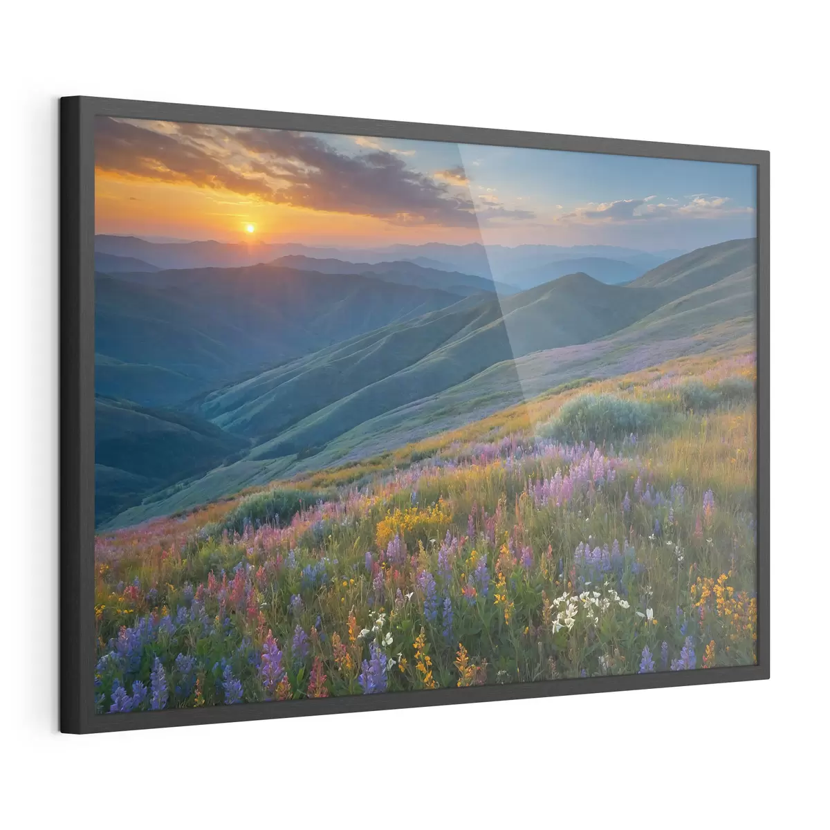 Poster Fleurs sur les montagnes f41048