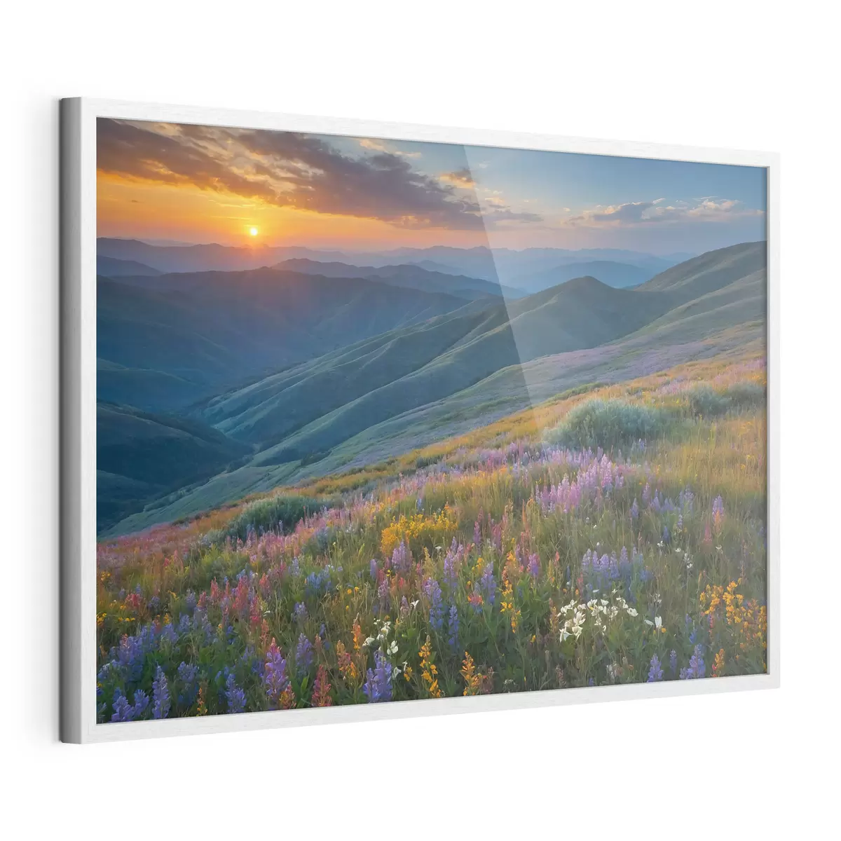 Poster Fleurs sur les montagnes f41048