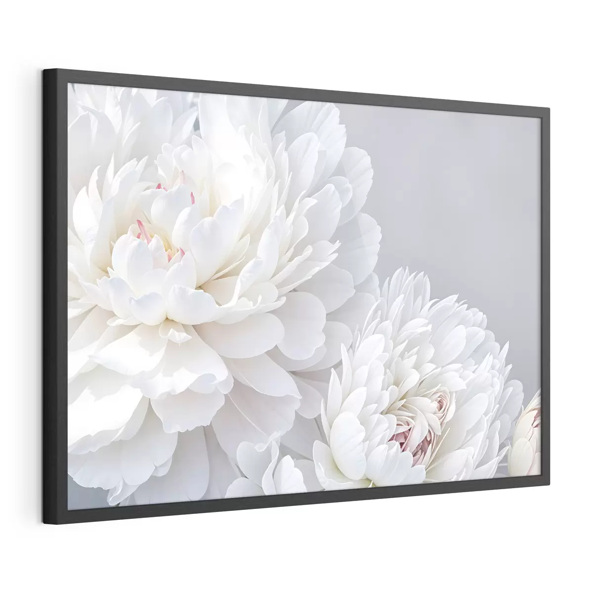 Poster Pivoines et passion f41085