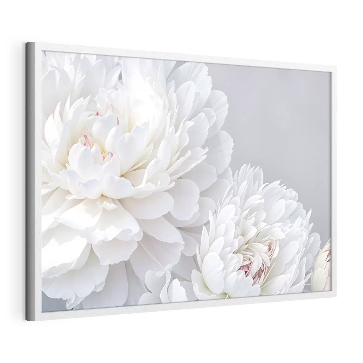 Poster Pivoines et passion f41085