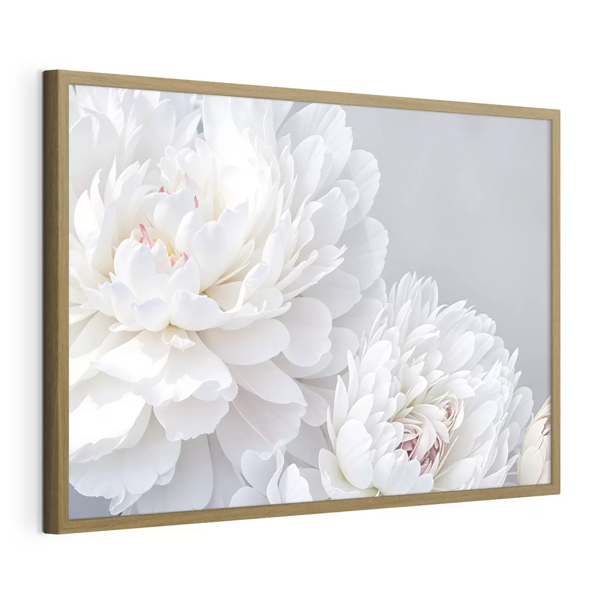 Poster Pivoines et passion f41085