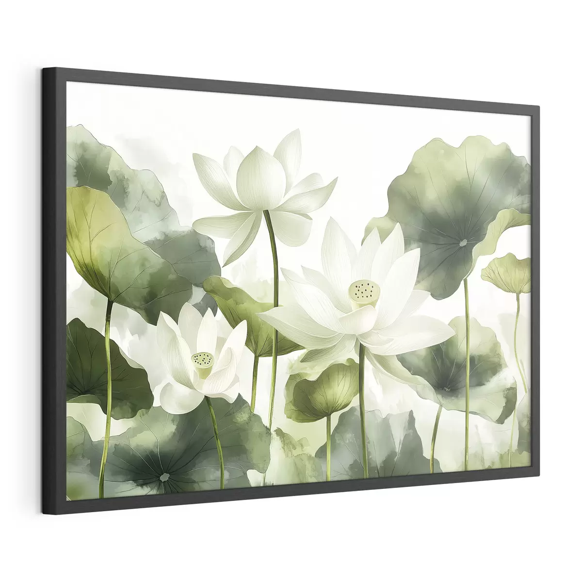 Poster Belle aquarelle de fleurs de lotus f41227